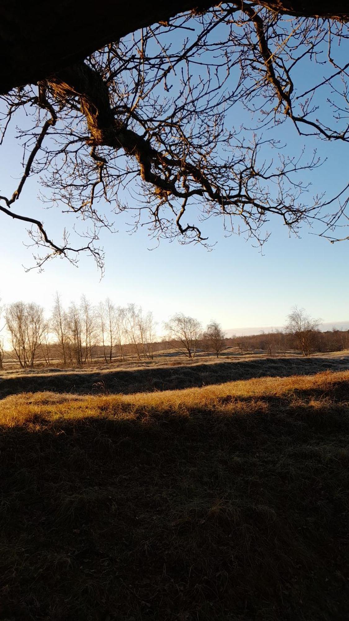 Grevelingen 12 Aan Grevelingenmeer. Nabij Port Greve Holiday home *